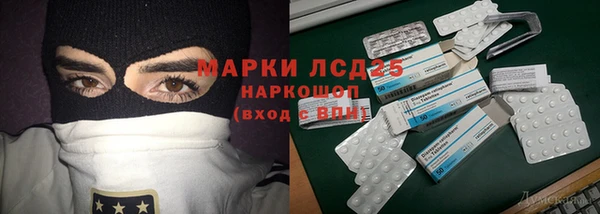ECSTASY Алзамай