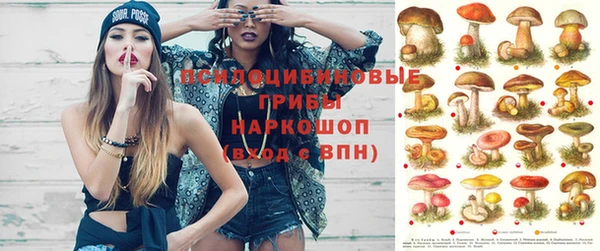 дживик Алексеевка