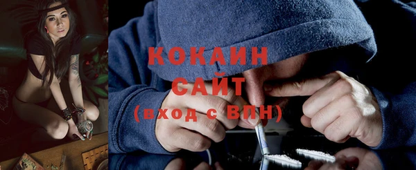 ECSTASY Алзамай