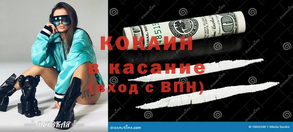 ECSTASY Алзамай