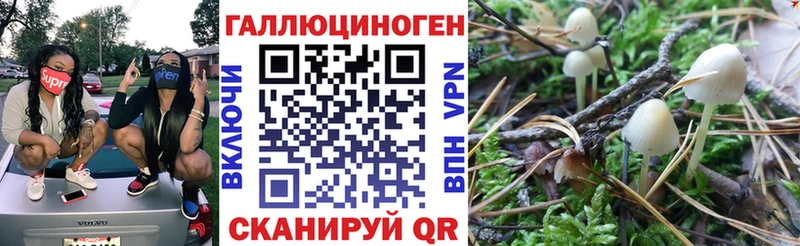 Псилоцибиновые грибы Magic Shrooms  Петровск 
