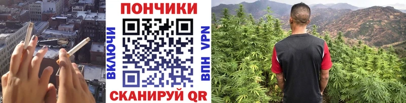 Марихуана гибрид  Петровск 